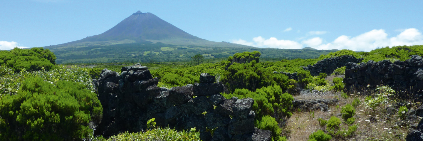 Tauchen-Azoren-Vulkan